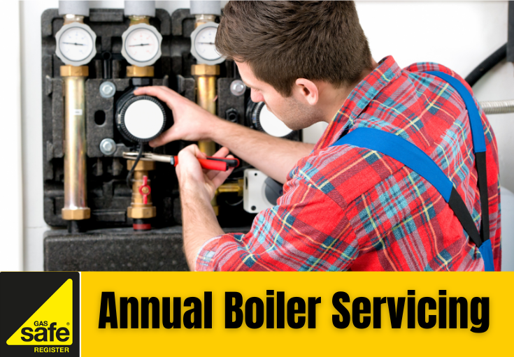 annual boiler servicing Weavering 